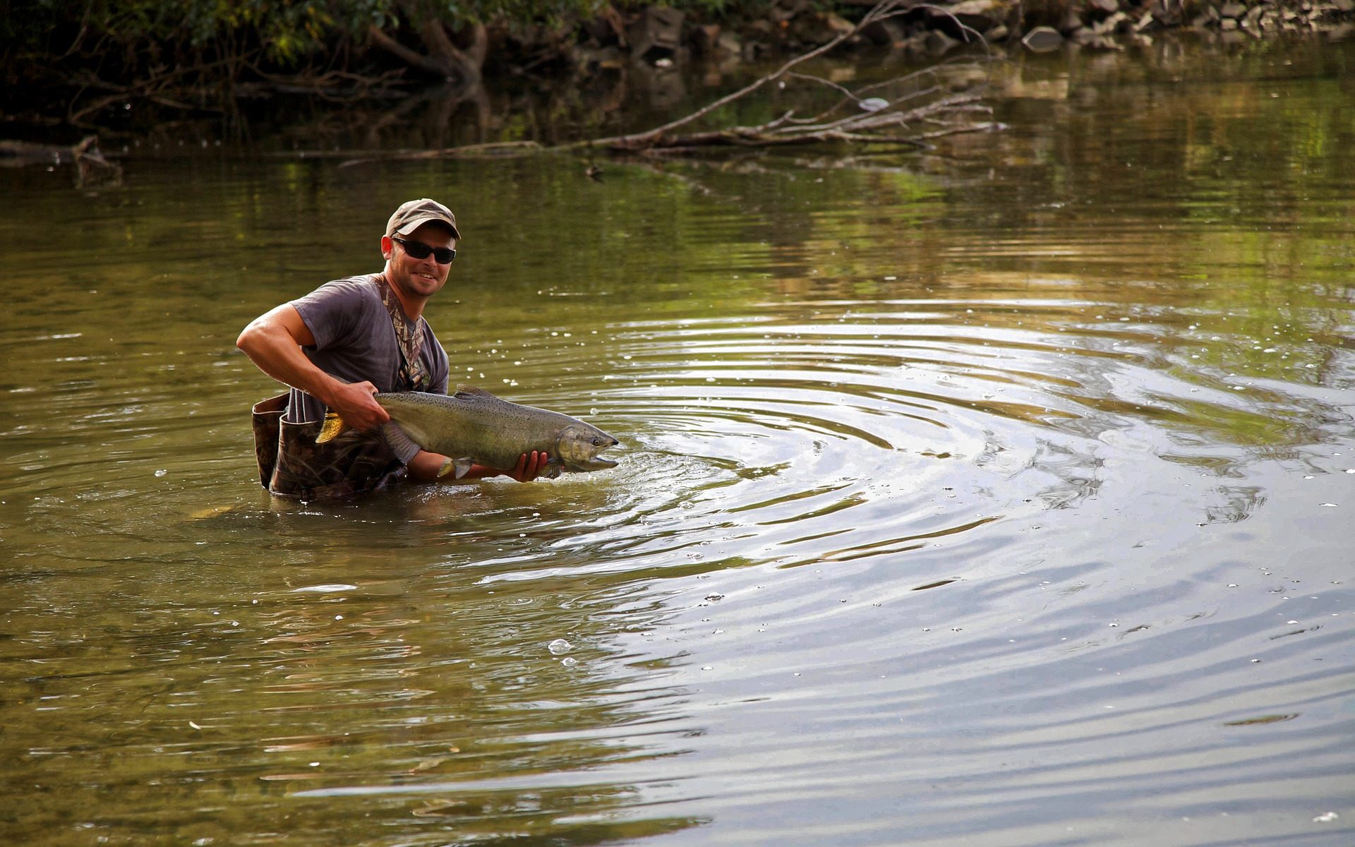 Fish Release