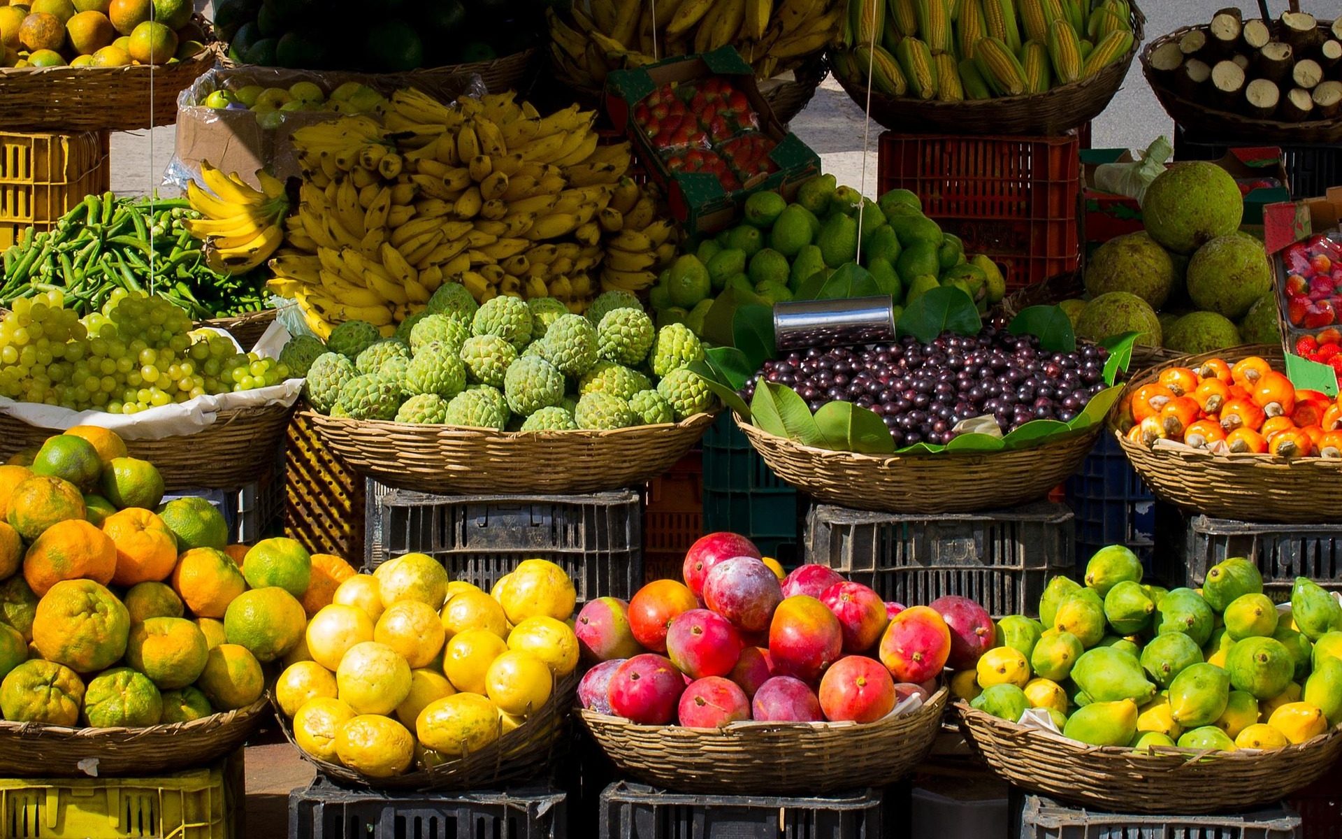 Farmer's Market