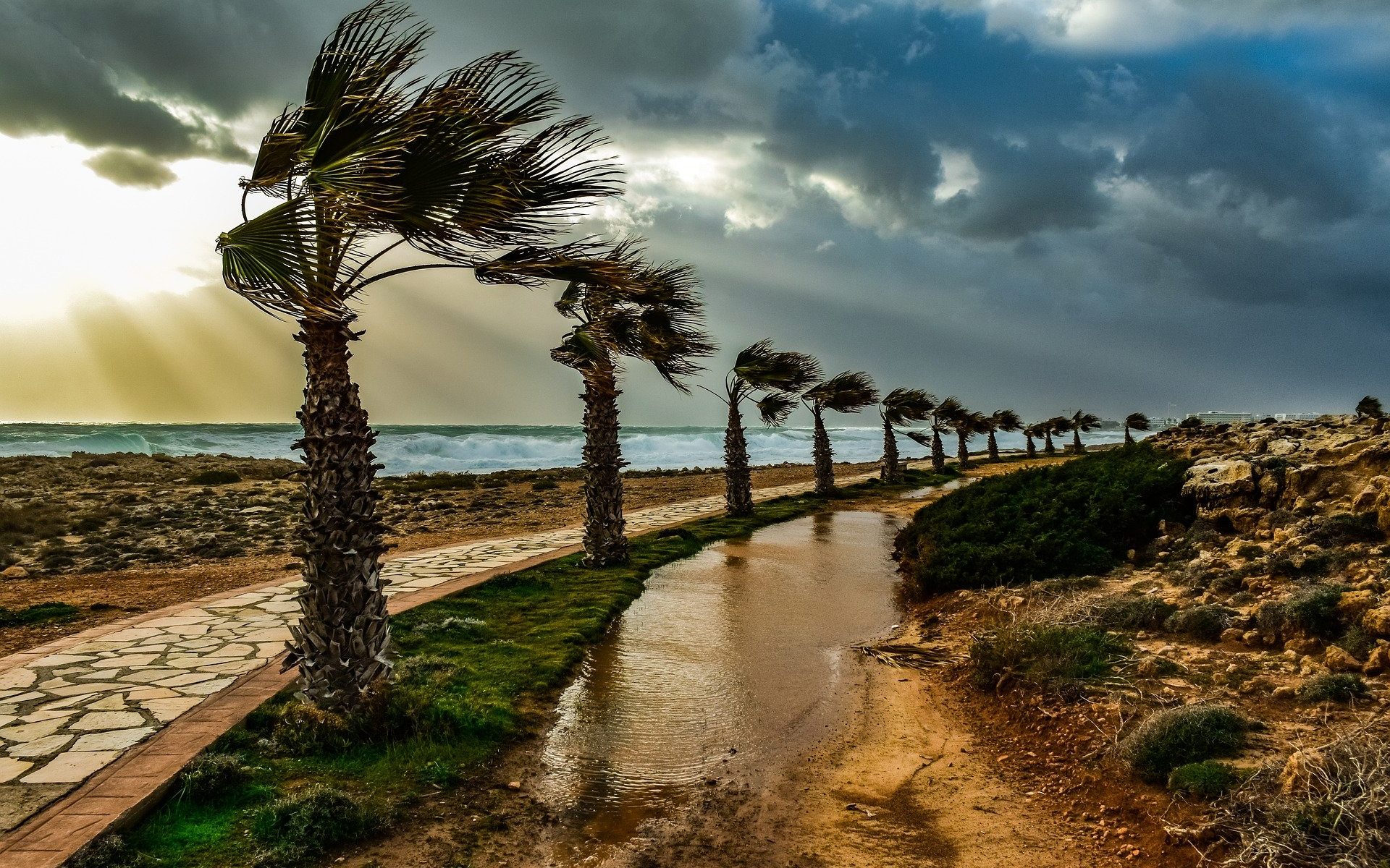 Windy Beach