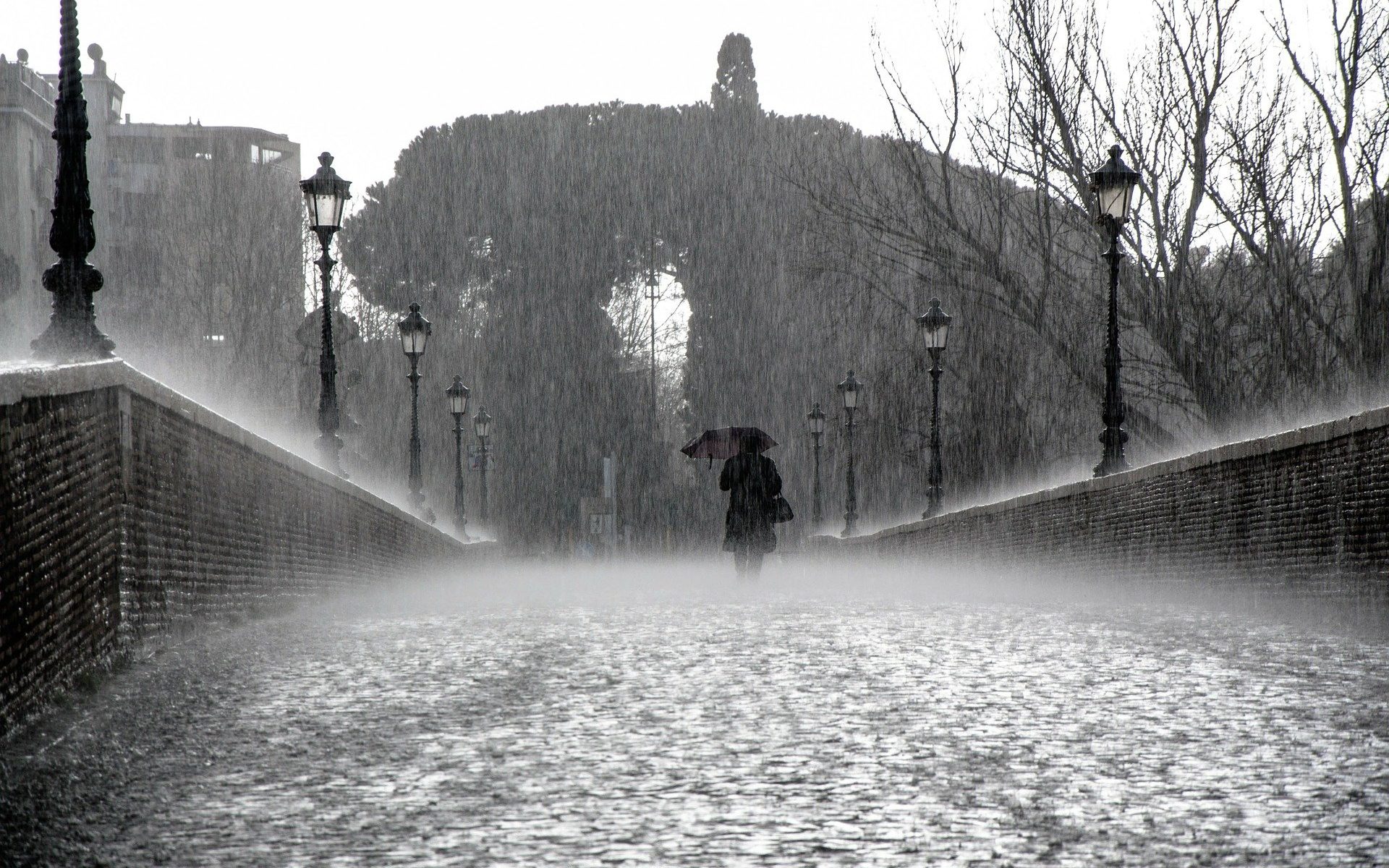 Rainy Bridge